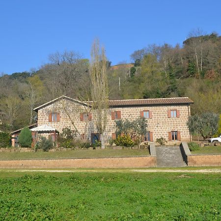 Agriturismo Le Forre Del Treja 奇维塔卡斯提亚 外观 照片