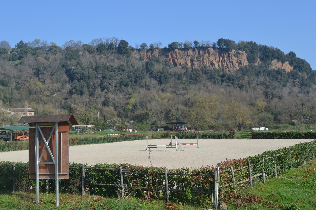 Agriturismo Le Forre Del Treja 奇维塔卡斯提亚 外观 照片