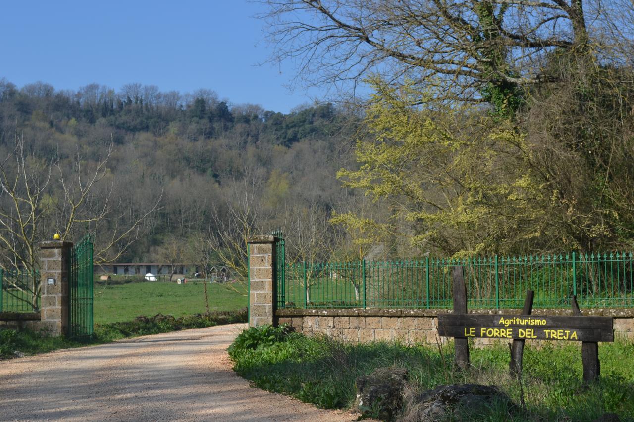 Agriturismo Le Forre Del Treja 奇维塔卡斯提亚 外观 照片