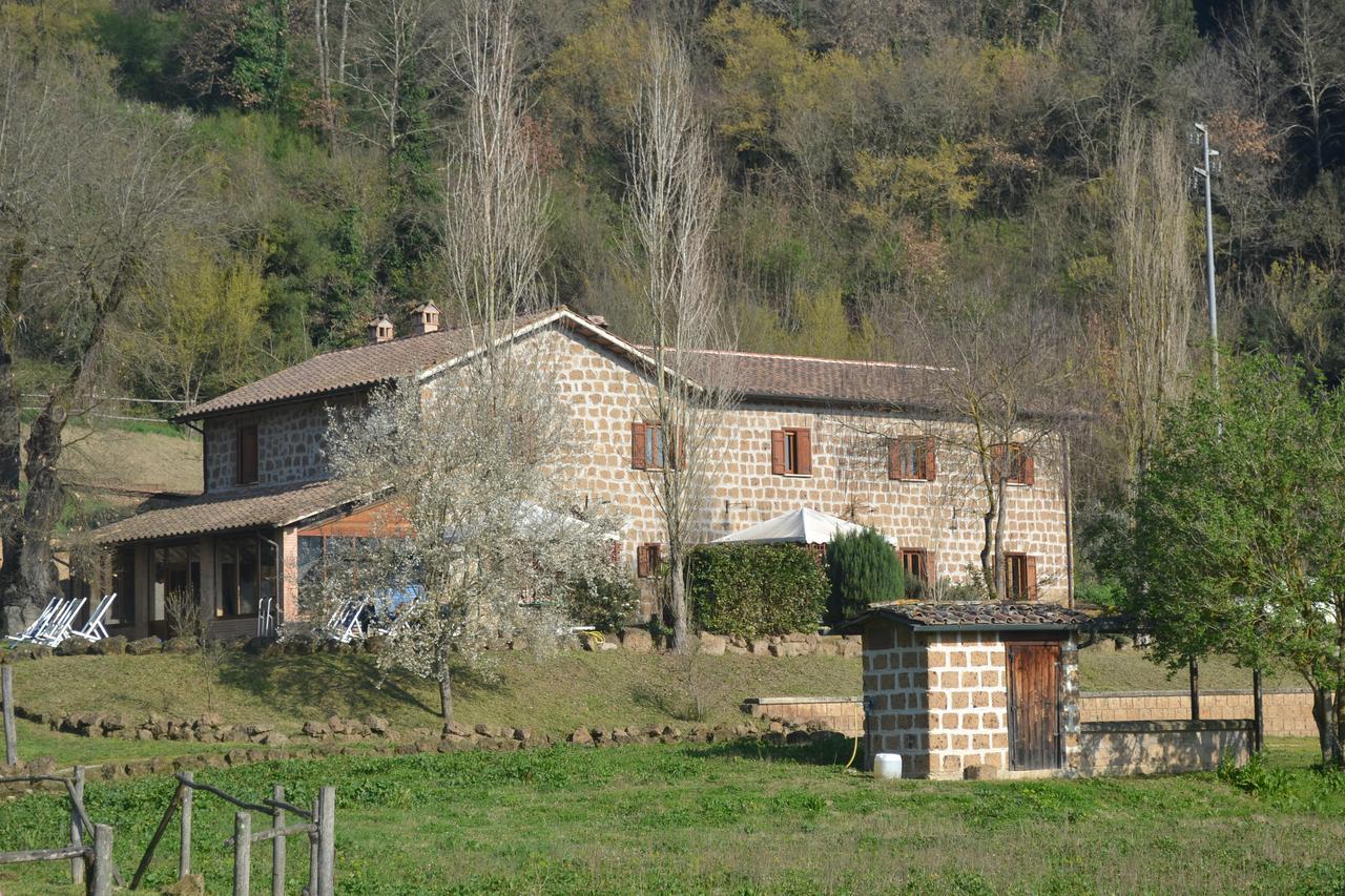 Agriturismo Le Forre Del Treja 奇维塔卡斯提亚 外观 照片