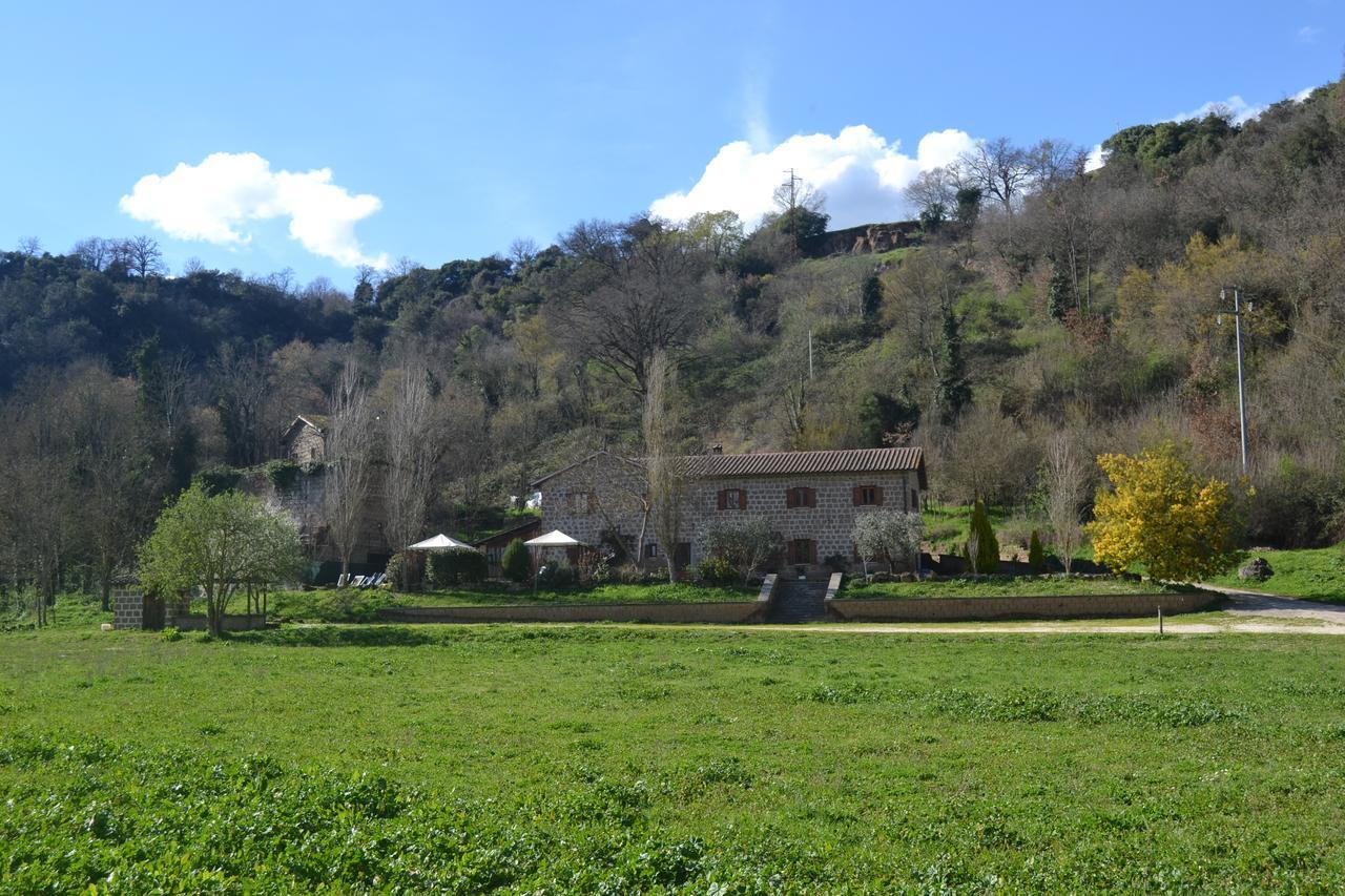 Agriturismo Le Forre Del Treja 奇维塔卡斯提亚 外观 照片